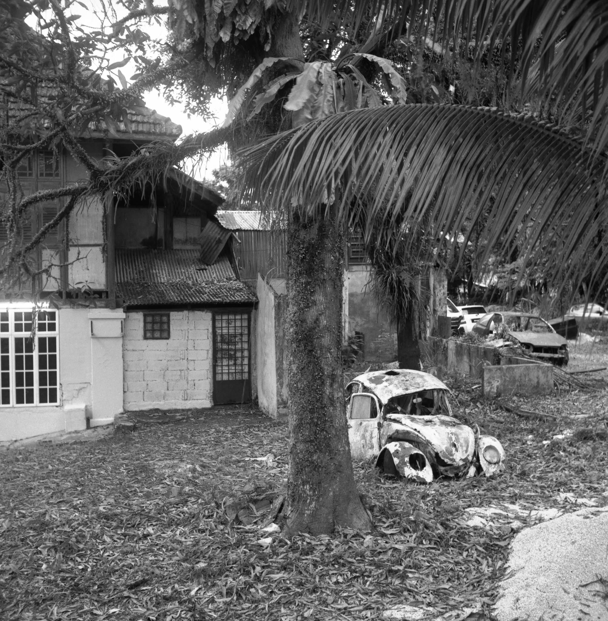 Johor Bahru, Kodak TMax 100, Frame 7